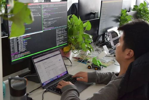 非中心化点对点网络 Near公链作品获奖背后的技术革新与研发启示