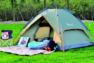 明媚春光催热大庆踏青经济，户外用品旺销垂钓配件成亮点